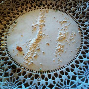a white plate with a crumb on it