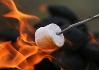 a marshmallow on a stick over a fire
