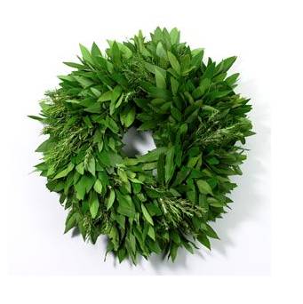 a wreath of leaves on a white background