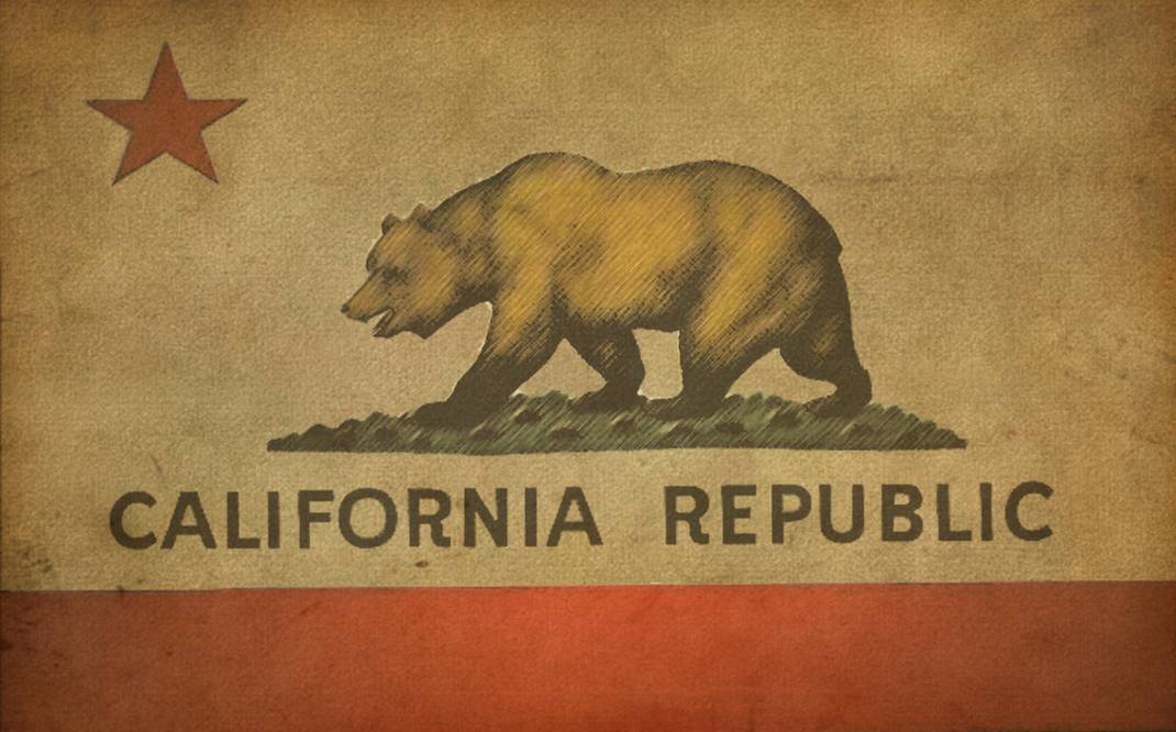 a bear on a flag