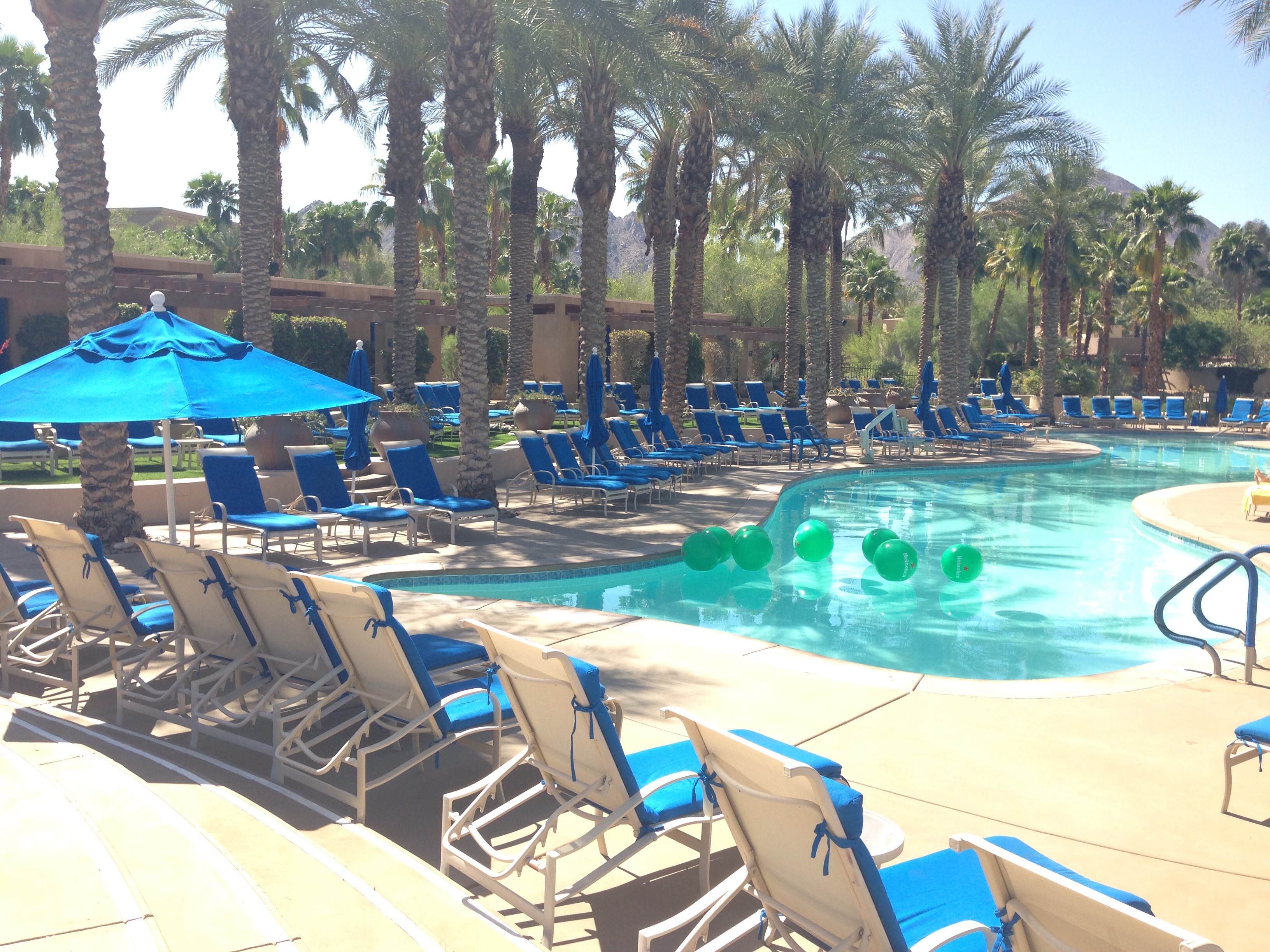 a pool with lounge chairs and umbrellas