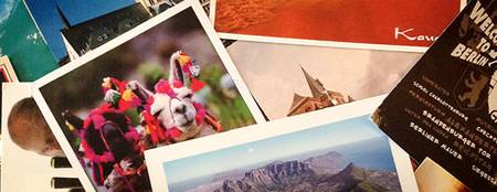 a stack of photos of a llama