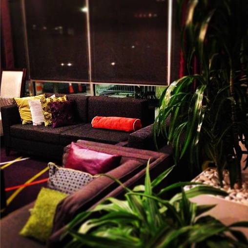 a couch and plant in a room