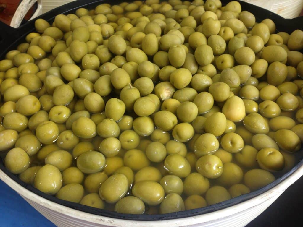 festa de gracia olives